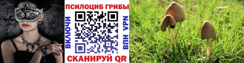 Псилоцибиновые грибы мухоморы  Азов 